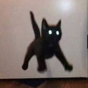 Meet your Posher, Livia